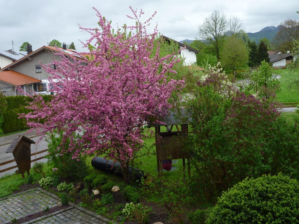 Apartments Donebauer Übersee Eksteriør bilde